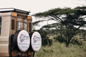 Tanzania Safari at Affordable rates