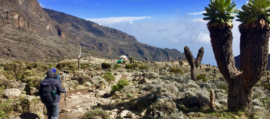 climb-kilimanjaro-via-machame-route-16-1360x900-1.jpg