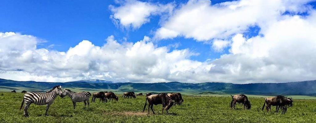 ngorongoro-crater-plains